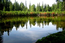 Lake between trees, Retezat mountains·, Photo: Alexandru Moțoc