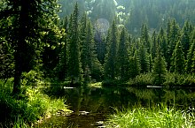 Muntii Retezat: Tăul dintre Brazi