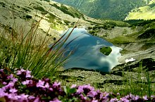 Taul Tapului, Muntii Retezat, Foto: Mihai Bursesc