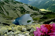 Taul Tapului, Muntii Retezat, Foto: Mihai Bursesc