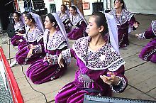 Festivalul Proetnica, Sighisoara