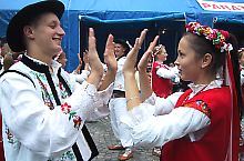 Festivalul Proetnica, Sighisoara