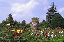 Parcul Rozelor, Timisoara, Foto: Ovidiu Nicorici
