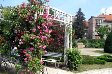 Rózsapark, Temesvár., Fotó: Ovidiu Nicorici