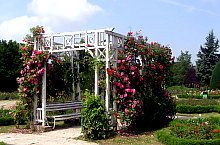 Rózsapark, Temesvár., Fotó: Ovidiu Nicorici
