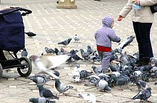 Temesvár., Fotó: Mircea Vâlcu