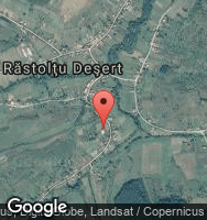 Google Static Map