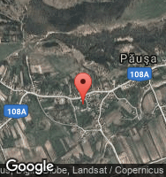 Google Static Map
