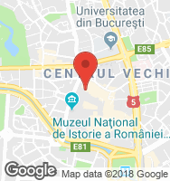 Google Static Map