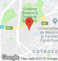 Google Static Map