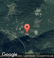 Google Static Map