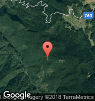 Google Static Map