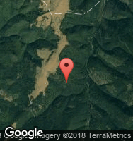 Google Static Map