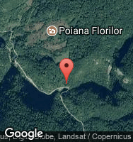 Google Static Map