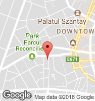 Google Static Map