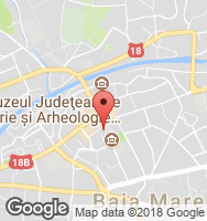 Google Static Map