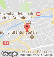 Google Static Map