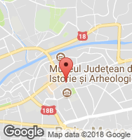 Google Static Map