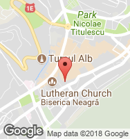 Google Static Map