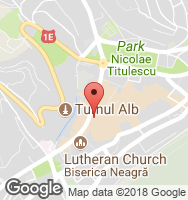 Google Static Map