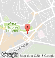 Google Static Map