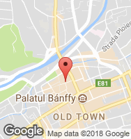 Google Static Map
