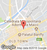 Google Static Map