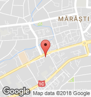 Google Static Map