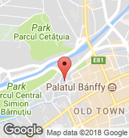 Google Static Map