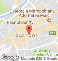 Google Static Map