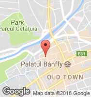 Google Static Map