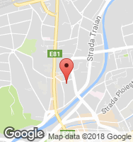 Google Static Map