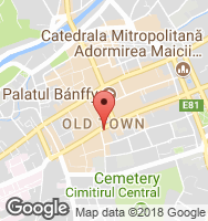 Google Static Map
