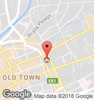 Google Static Map