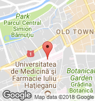 Google Static Map