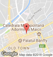 Google Static Map