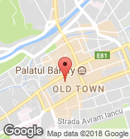 Google Static Map