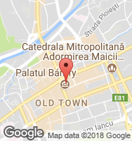 Google Static Map
