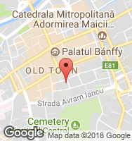 Google Static Map