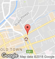 Google Static Map