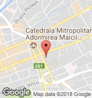 Google Static Map