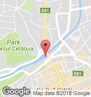 Google Static Map