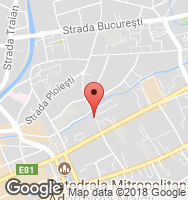 Google Static Map