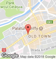 Google Static Map