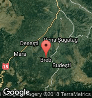 Google Static Map