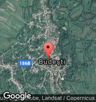 Google Static Map