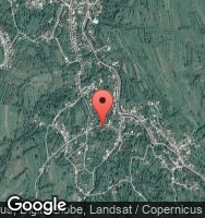 Google Static Map