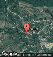 Google Static Map