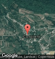 Google Static Map