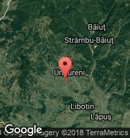 Google Static Map